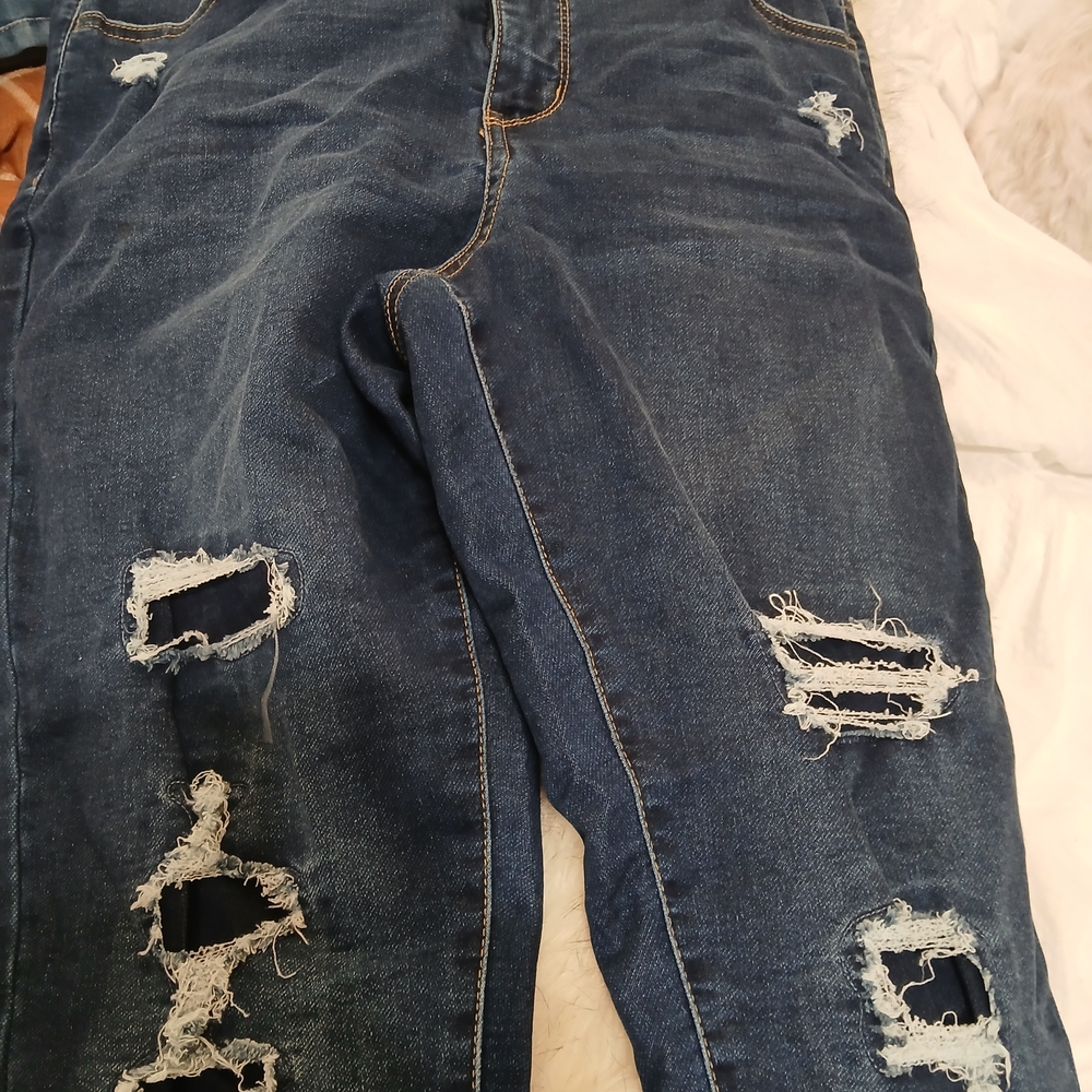 True Craft Women's Skinny Jeans - Distressed Blue